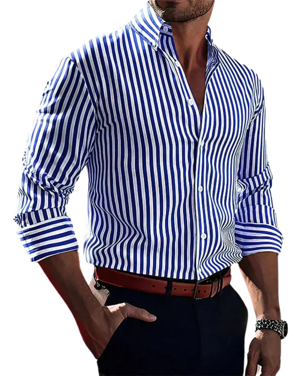 Lorian / Elegant Striped Shirt